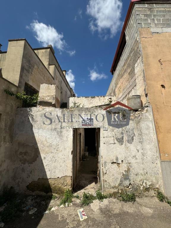 immagine annuncio 1 di 14