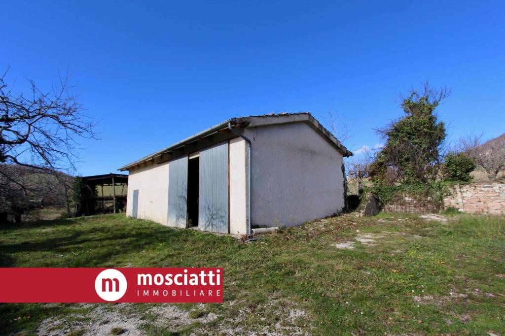 immagine annuncio 9 di 14