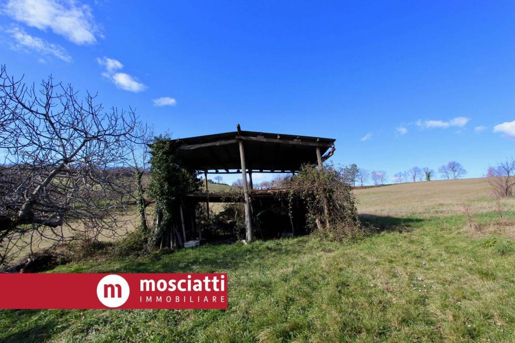 immagine annuncio 11 di 14