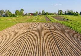 Terreno agricolo in vendita a padova via chiesanuova