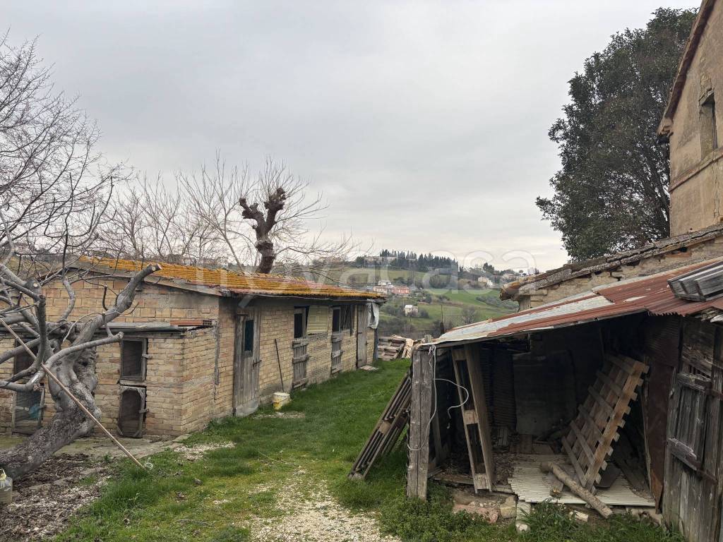 immagine annuncio 7 di 12