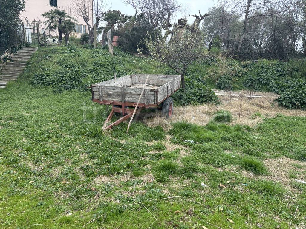 immagine annuncio 8 di 12
