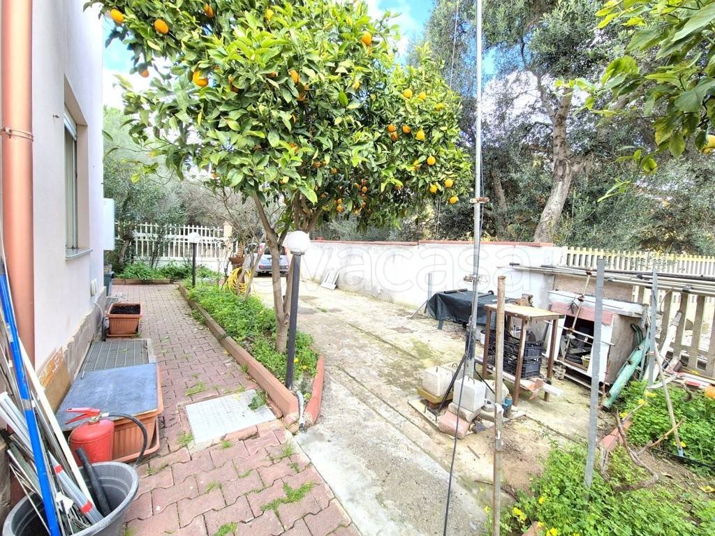 immagine annuncio 4 di 15
