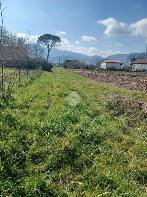 immagine annuncio 4 di 6