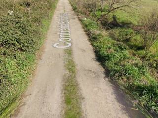 Negozio all'asta a rende contrada santa rosa