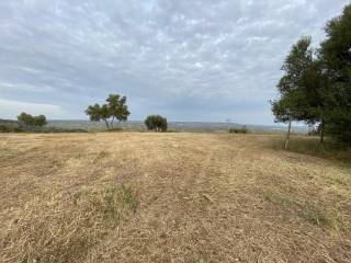 Terreno residenziale in vendita a san mauro marchesato via nuova, 3