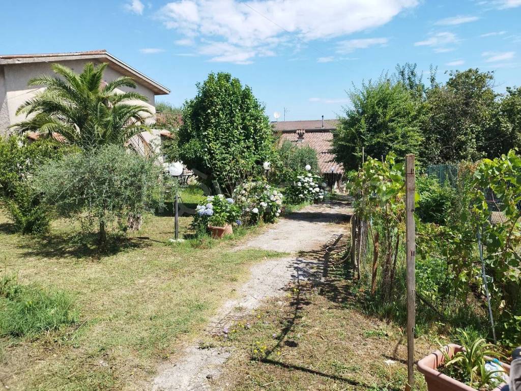 immagine annuncio 12 di 15