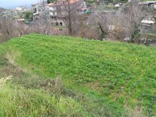 Terreno agricolo in vendita a vico equense 