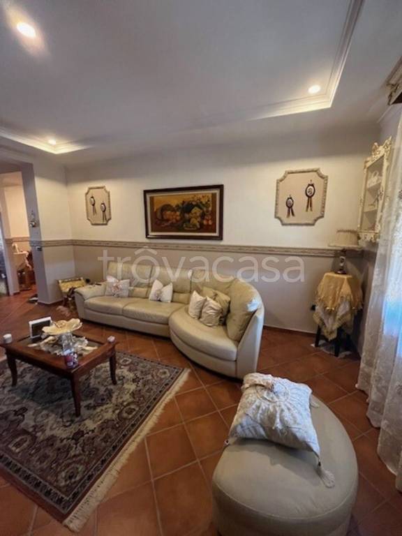 immagine annuncio 4 di 12