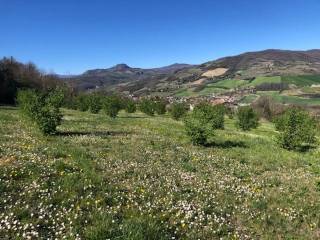 Terreno agricolo in vendita a travo località coni