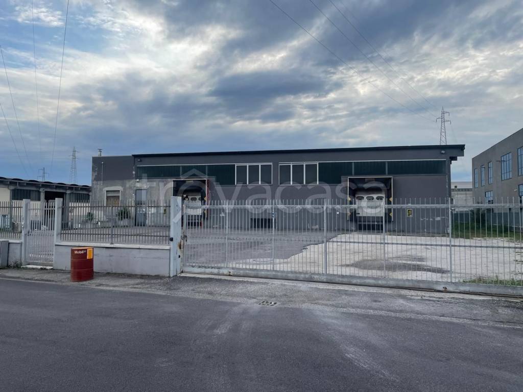 immagine annuncio 1 di 7