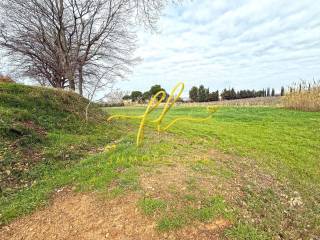 Terreno agricolo in vendita a cecina 