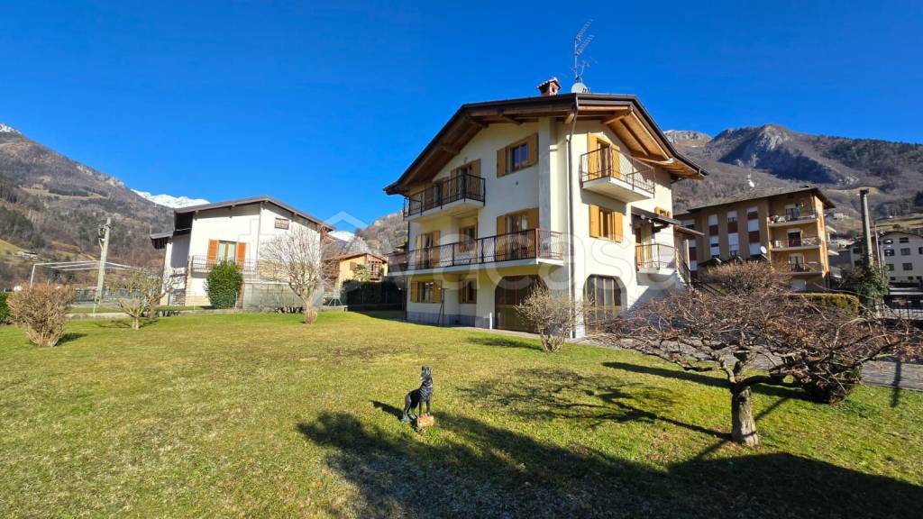 immagine annuncio 5 di 15