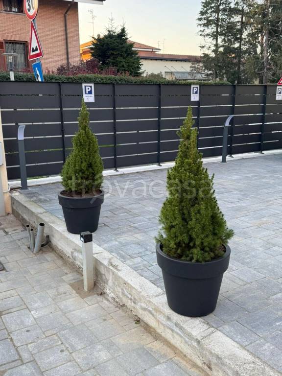 immagine annuncio 8 di 11