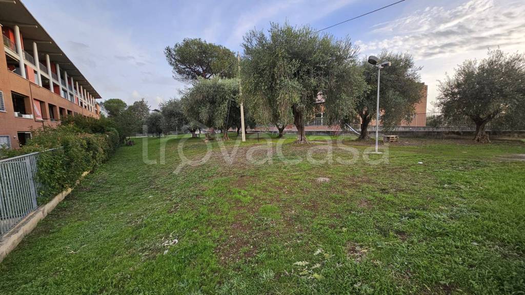 immagine annuncio 3 di 7