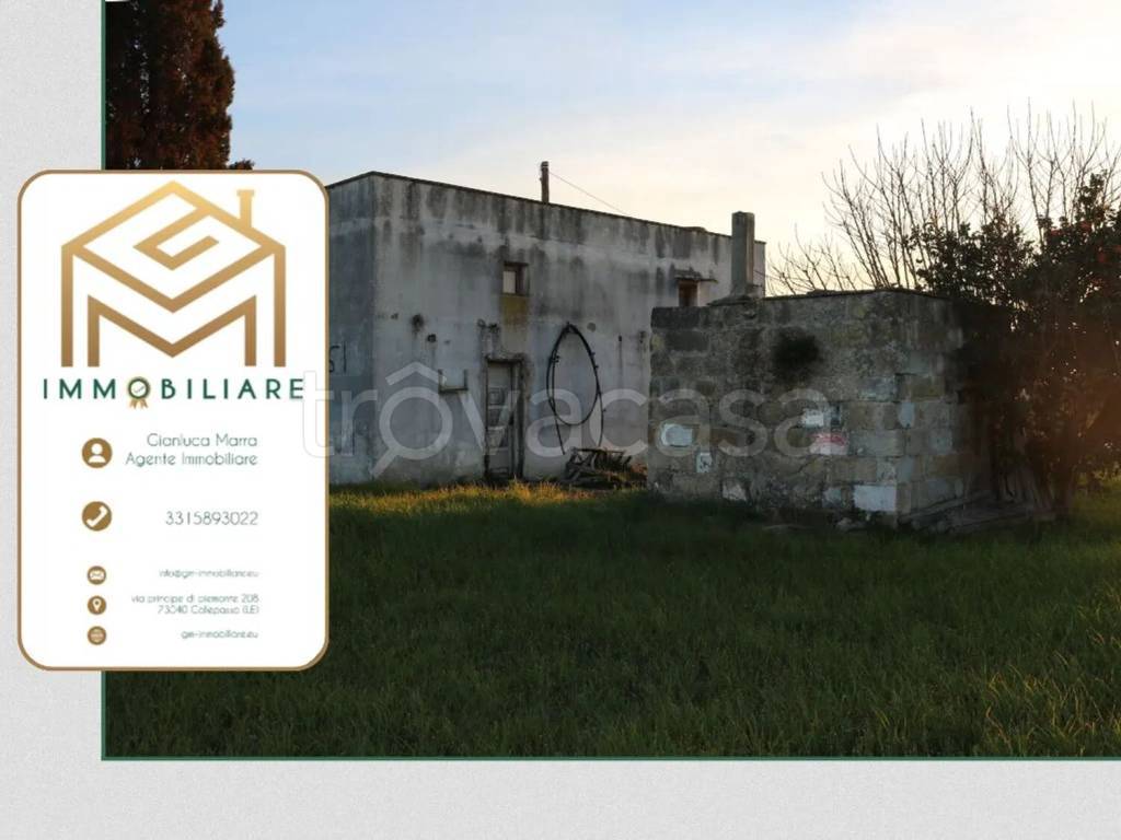 immagine annuncio 3 di 14