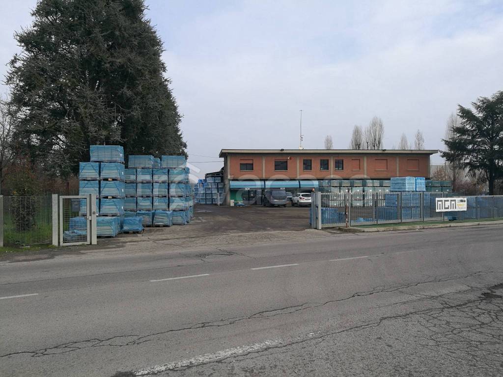 immagine annuncio 8 di 15
