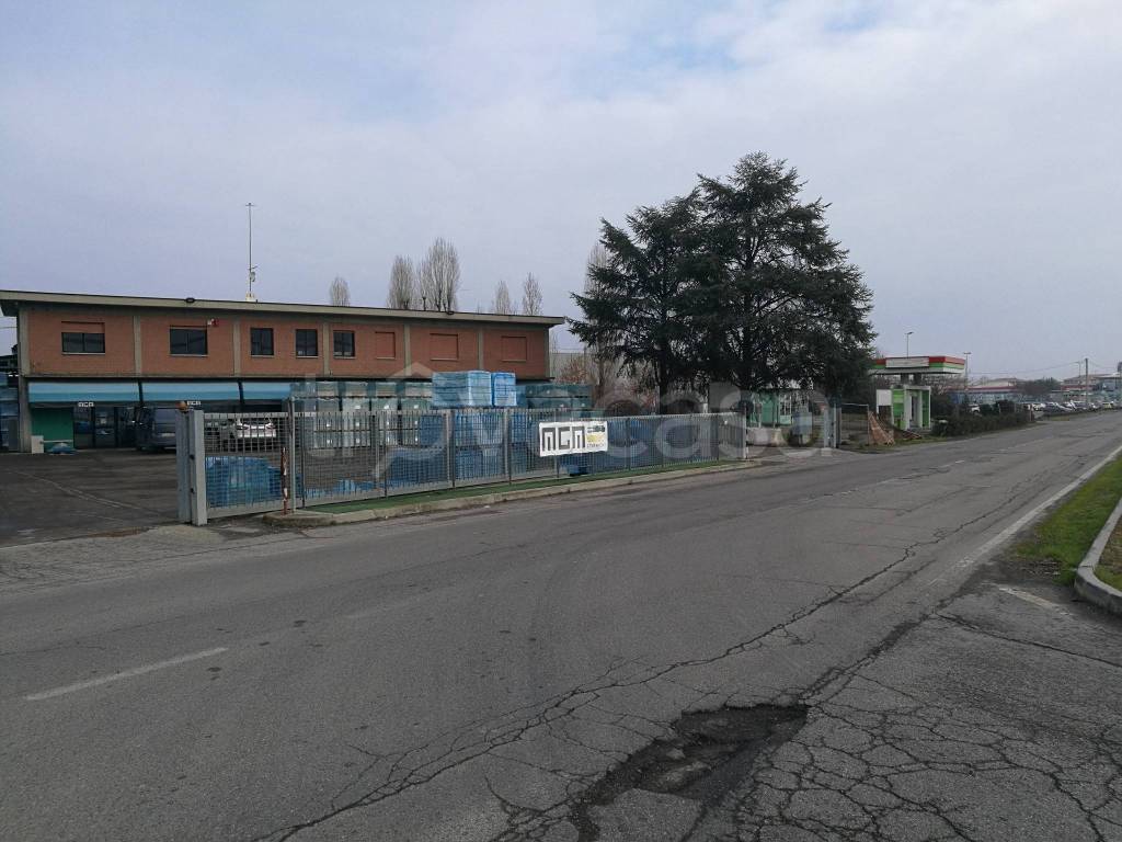 immagine annuncio 10 di 15