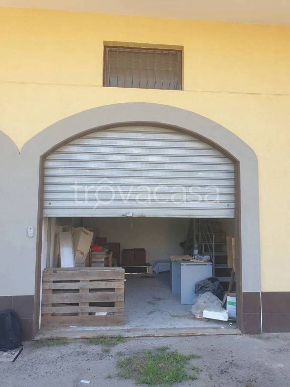 immagine annuncio 4 di 7