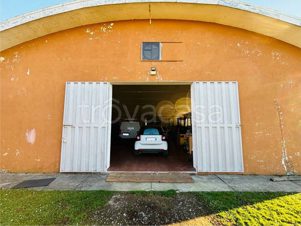 immagine annuncio 4 di 9