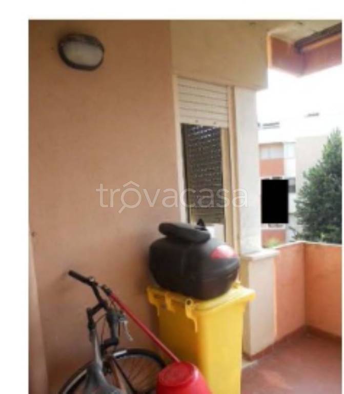 immagine annuncio 5 di 11