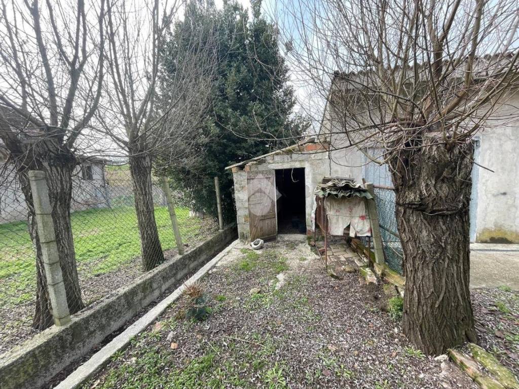 immagine annuncio 8 di 15