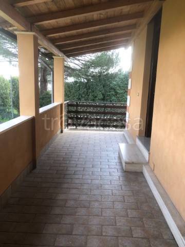 immagine annuncio 4 di 8