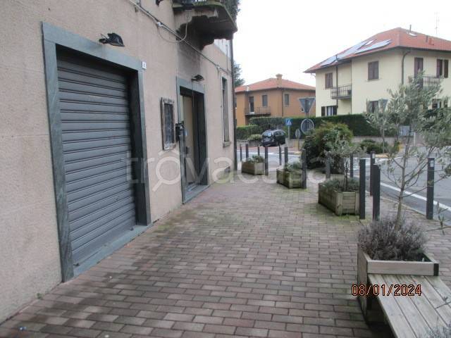 immagine annuncio 3 di 11