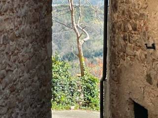 Azienda agricola in vendita a civitella paganico 