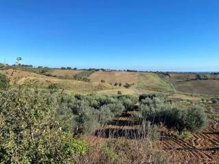 Terreno agricolo in vendita a guglionesi colle delle sentinelle