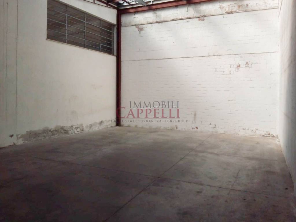 immagine annuncio 10 di 13