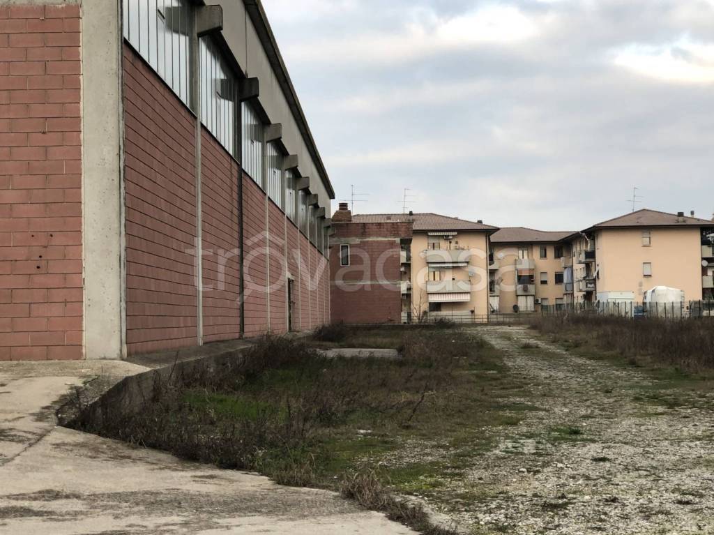 immagine annuncio 7 di 15
