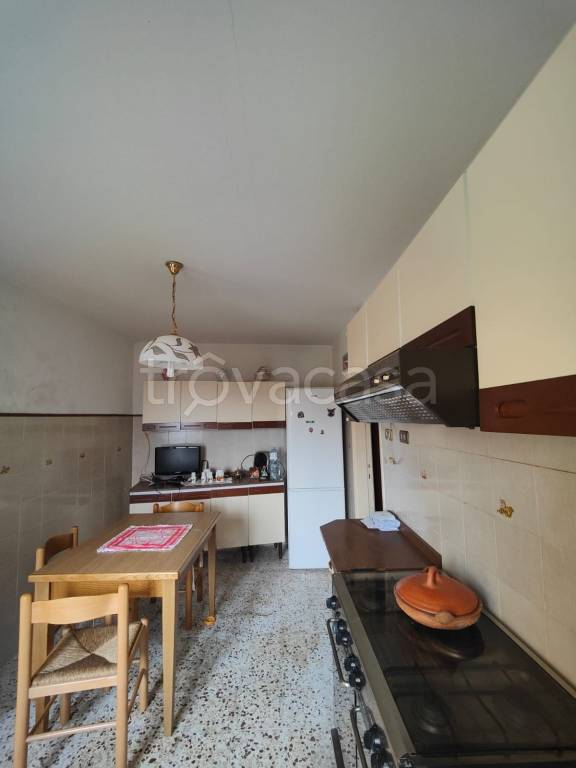 immagine annuncio 3 di 14