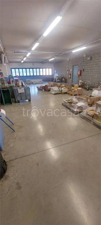 immagine annuncio 9 di 13