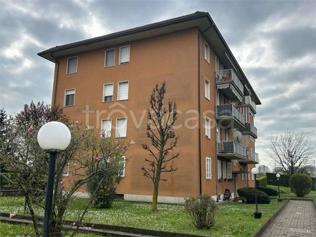 immagine annuncio 1 di 12