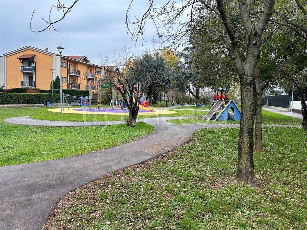 immagine annuncio 5 di 15