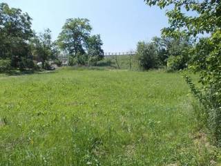 Terreno agricolo all'asta a predosa cascina moschina