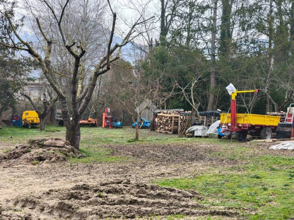 immagine annuncio 8 di 11
