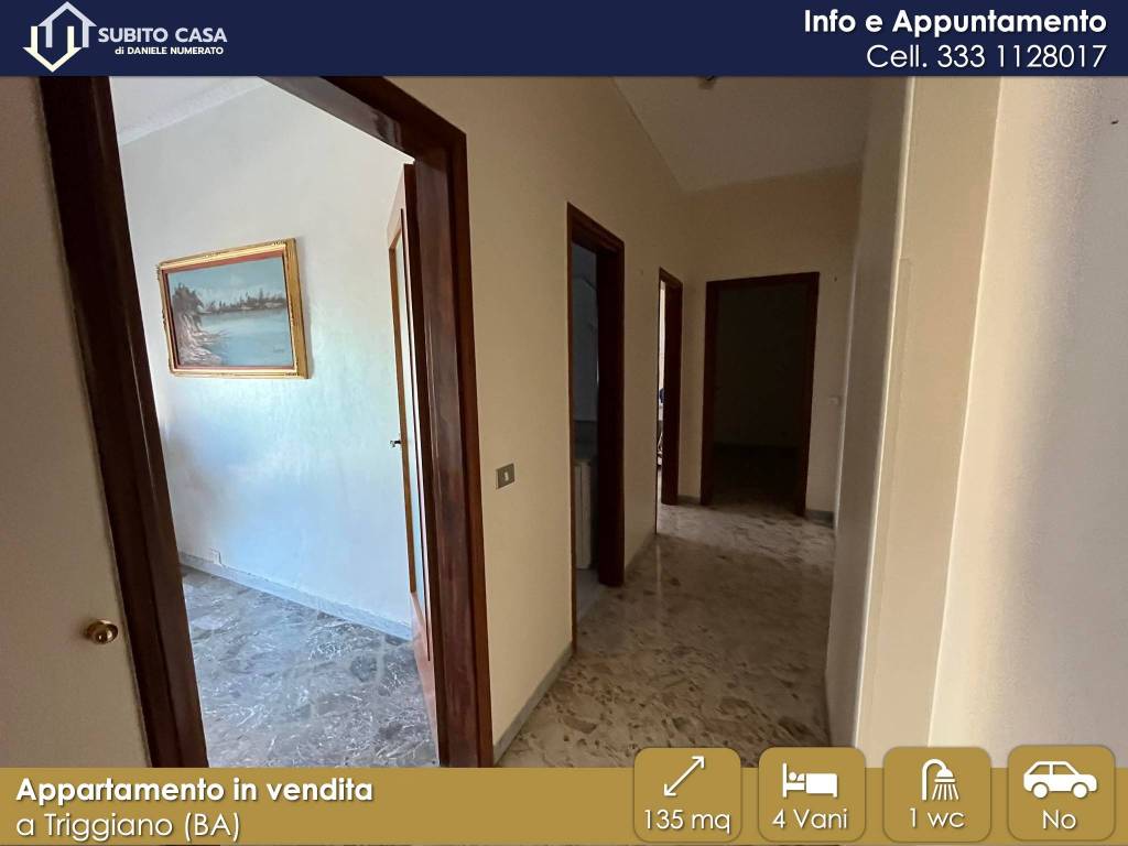 immagine annuncio 4 di 13
