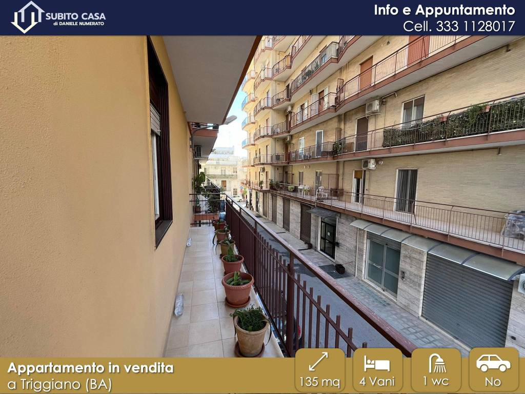 immagine annuncio 9 di 13