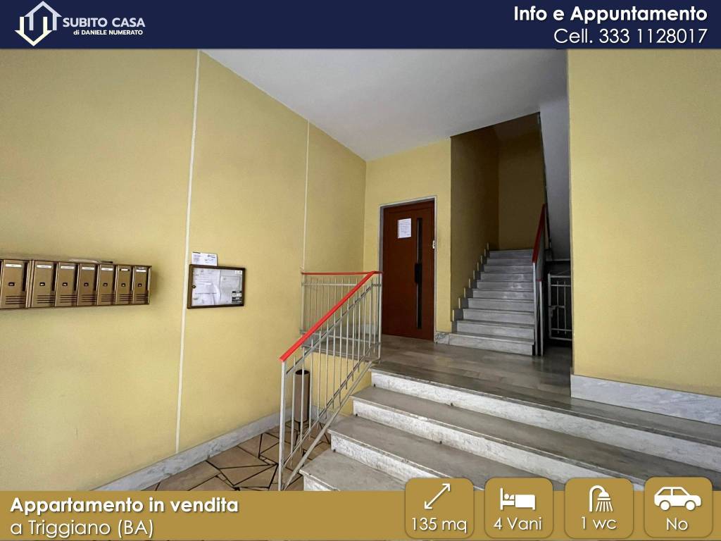 immagine annuncio 11 di 13