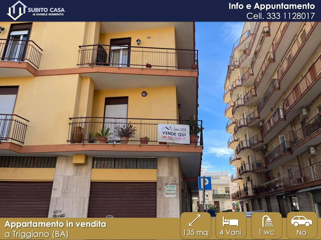 immagine annuncio 12 di 13