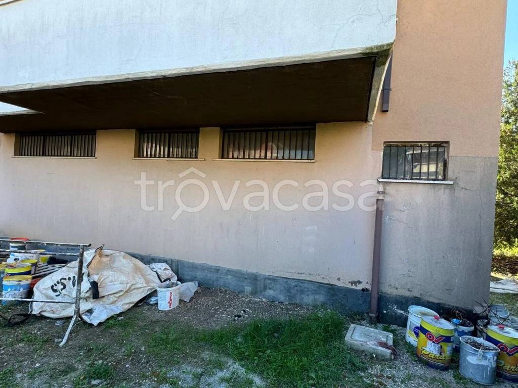 immagine annuncio 2 di 3
