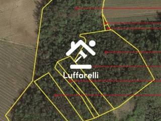 Terreno agricolo all'asta a santa giuletta via castellane