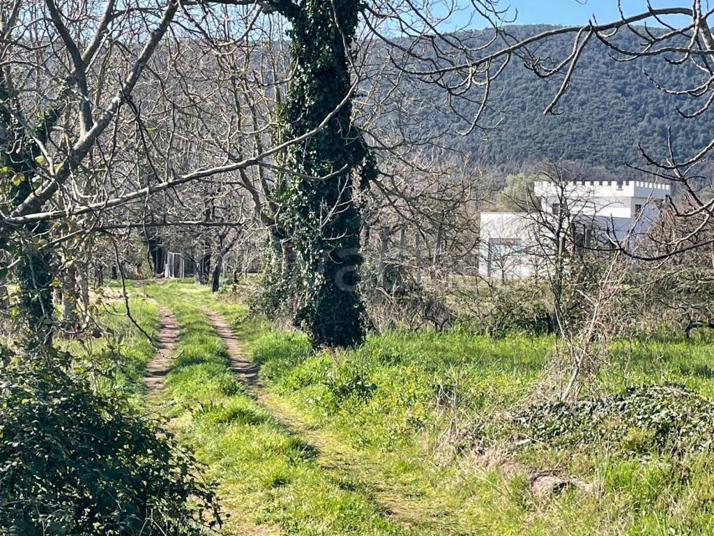 immagine annuncio 1 di 7