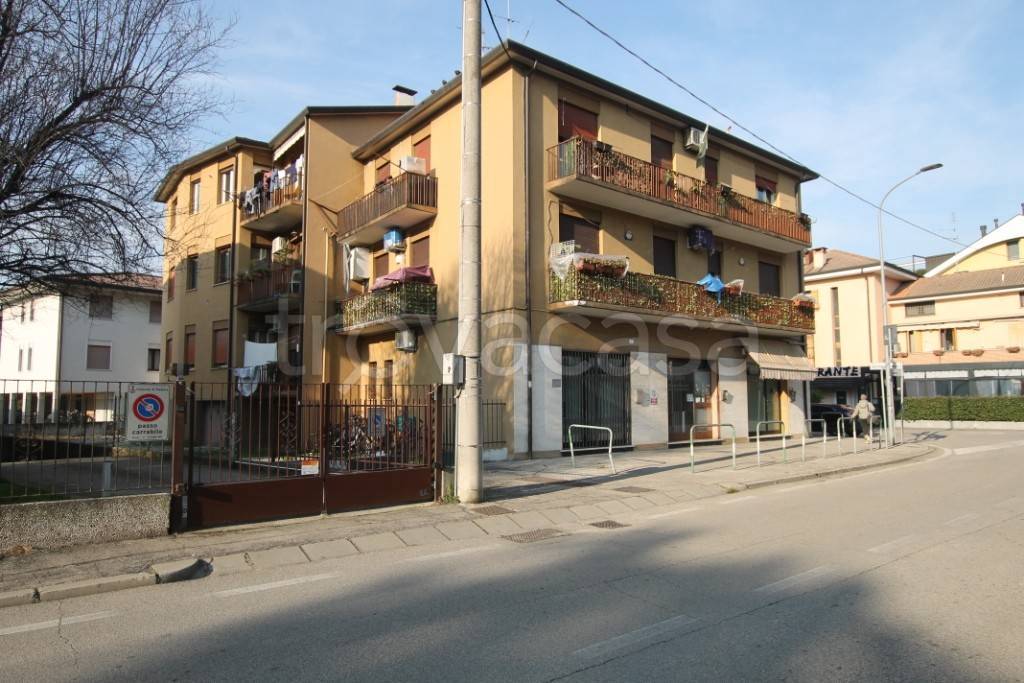 immagine annuncio 12 di 13