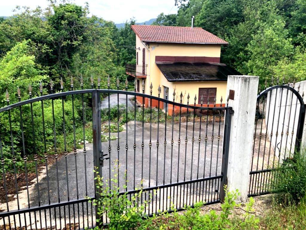 immagine annuncio 1 di 6