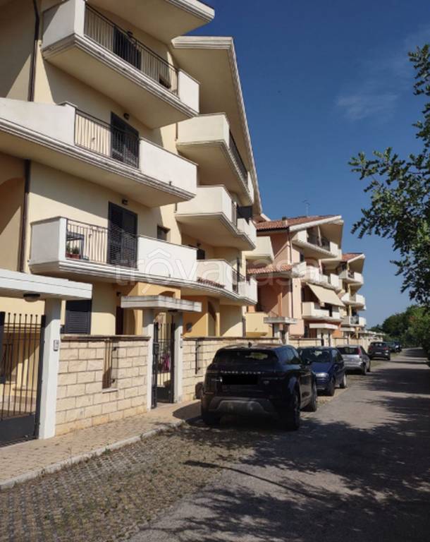 immagine annuncio 7 di 12
