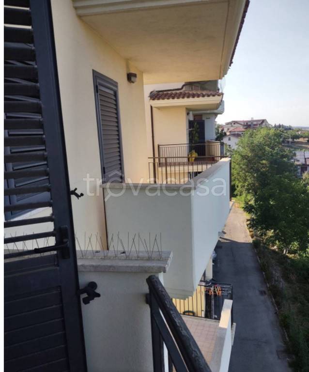 immagine annuncio 9 di 12