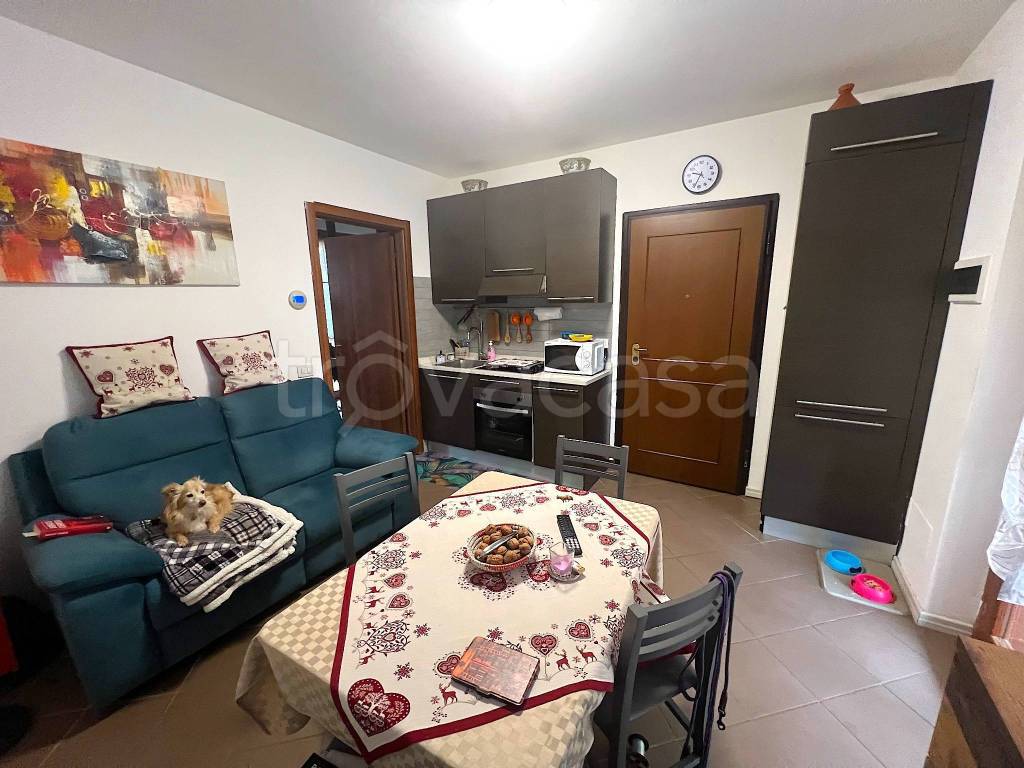 immagine annuncio 9 di 15
